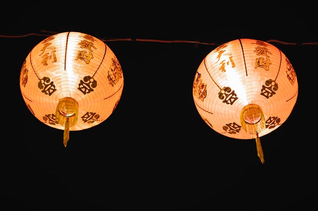 Welche Pflanzen schützen vor Frost?